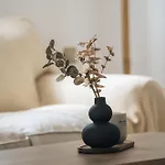 Lofos Soilis アパートホテル トラガキオン
