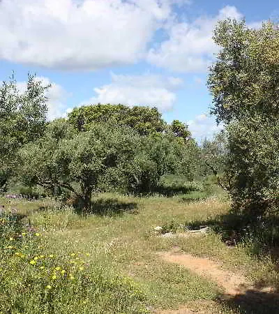 Aparthotel Lofos Soilis